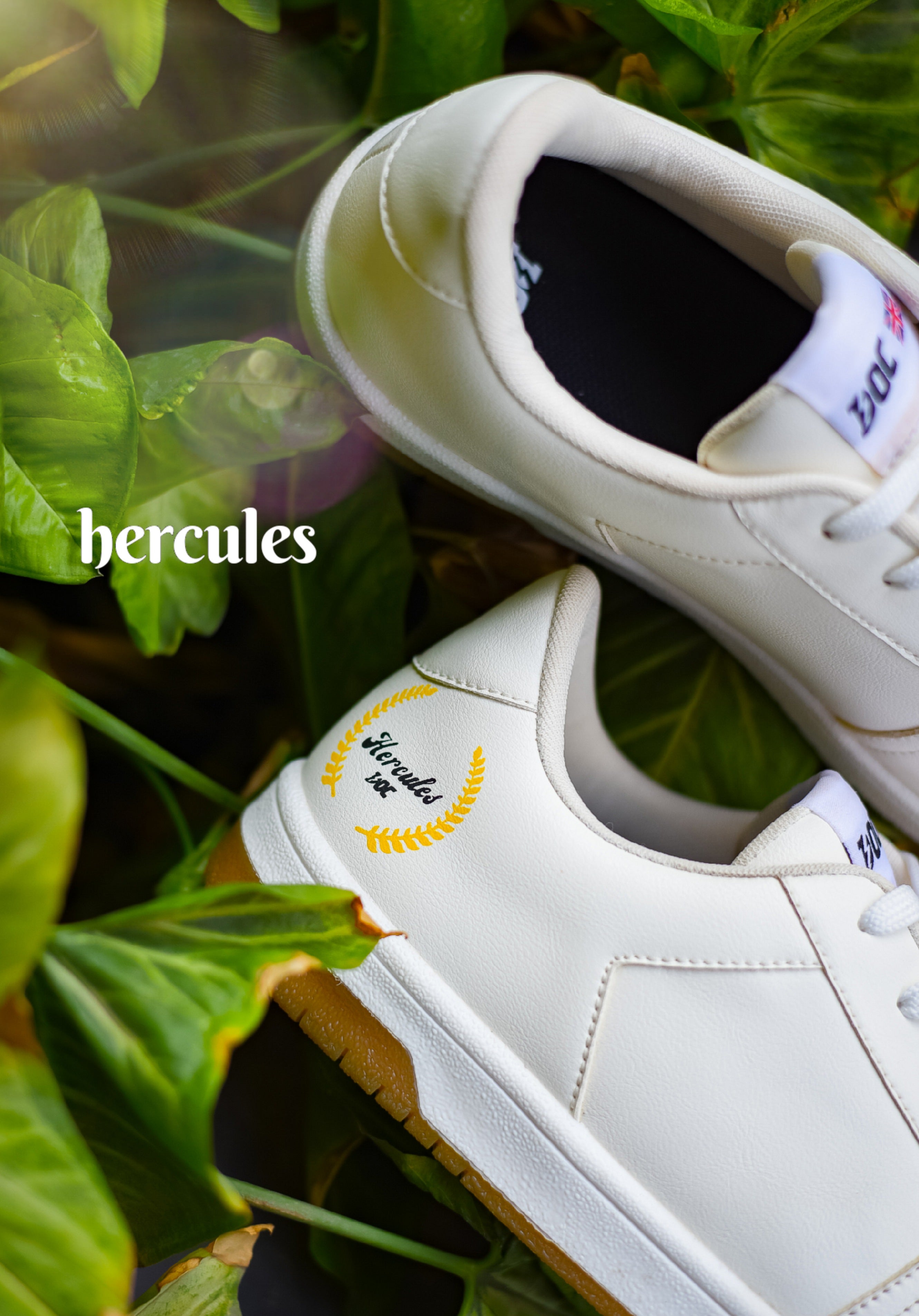 Hercules LT / White