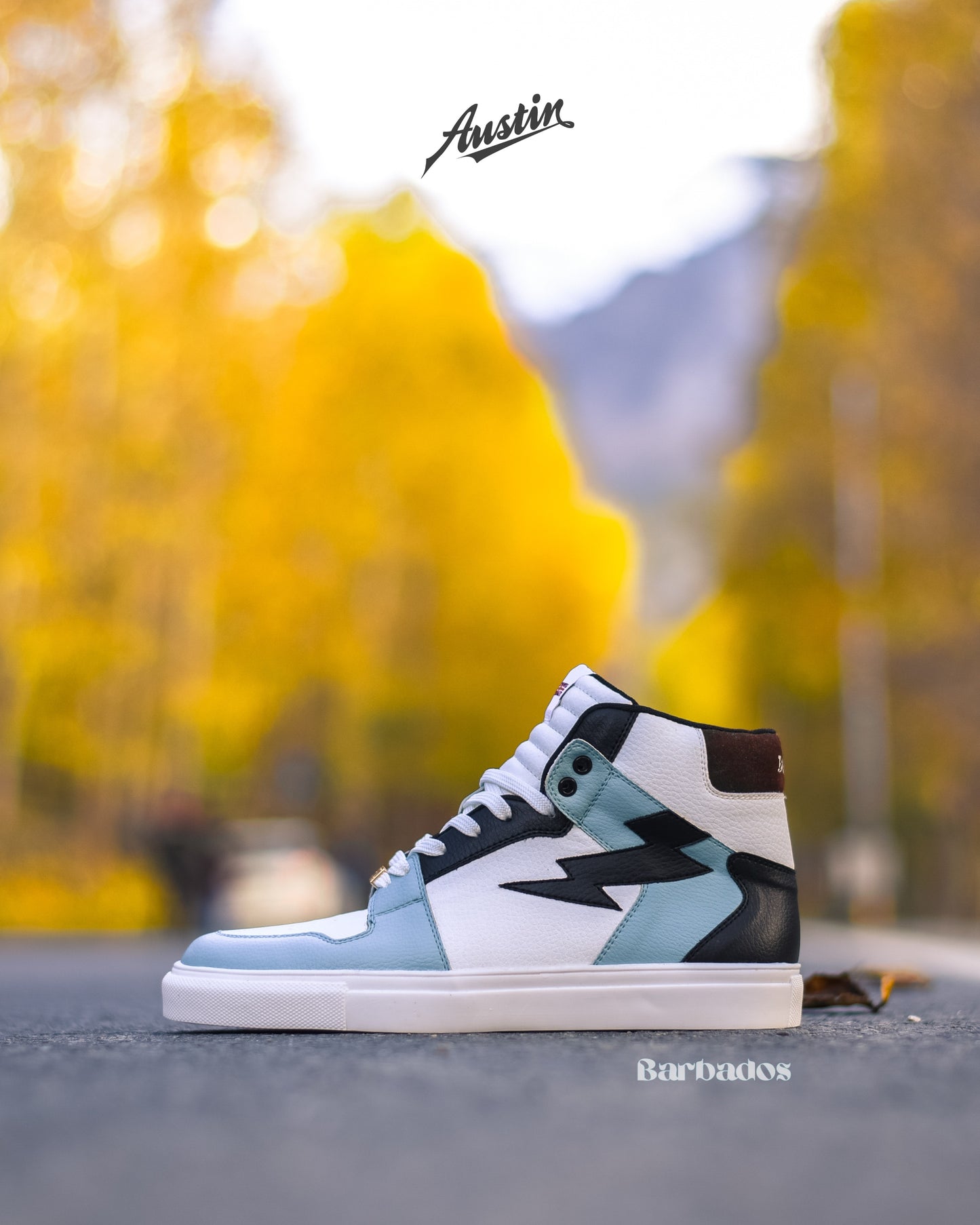 Austin MT / Barbados Blue