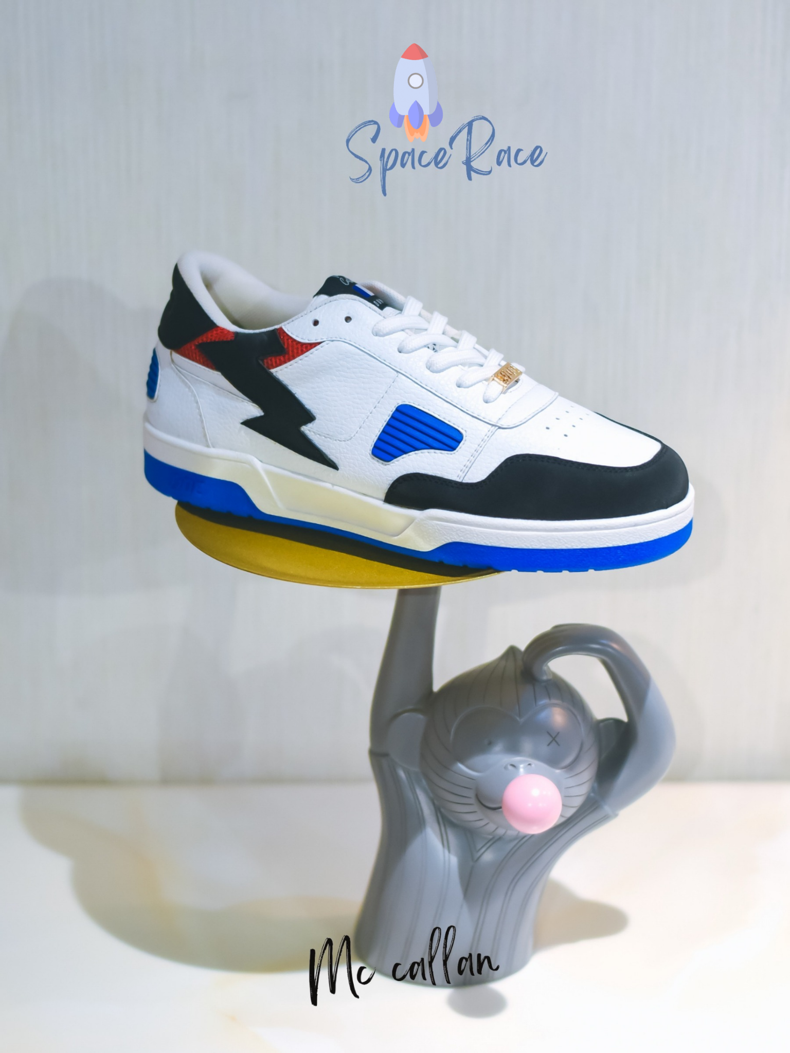 MC Callan Dunks LT / Space Race