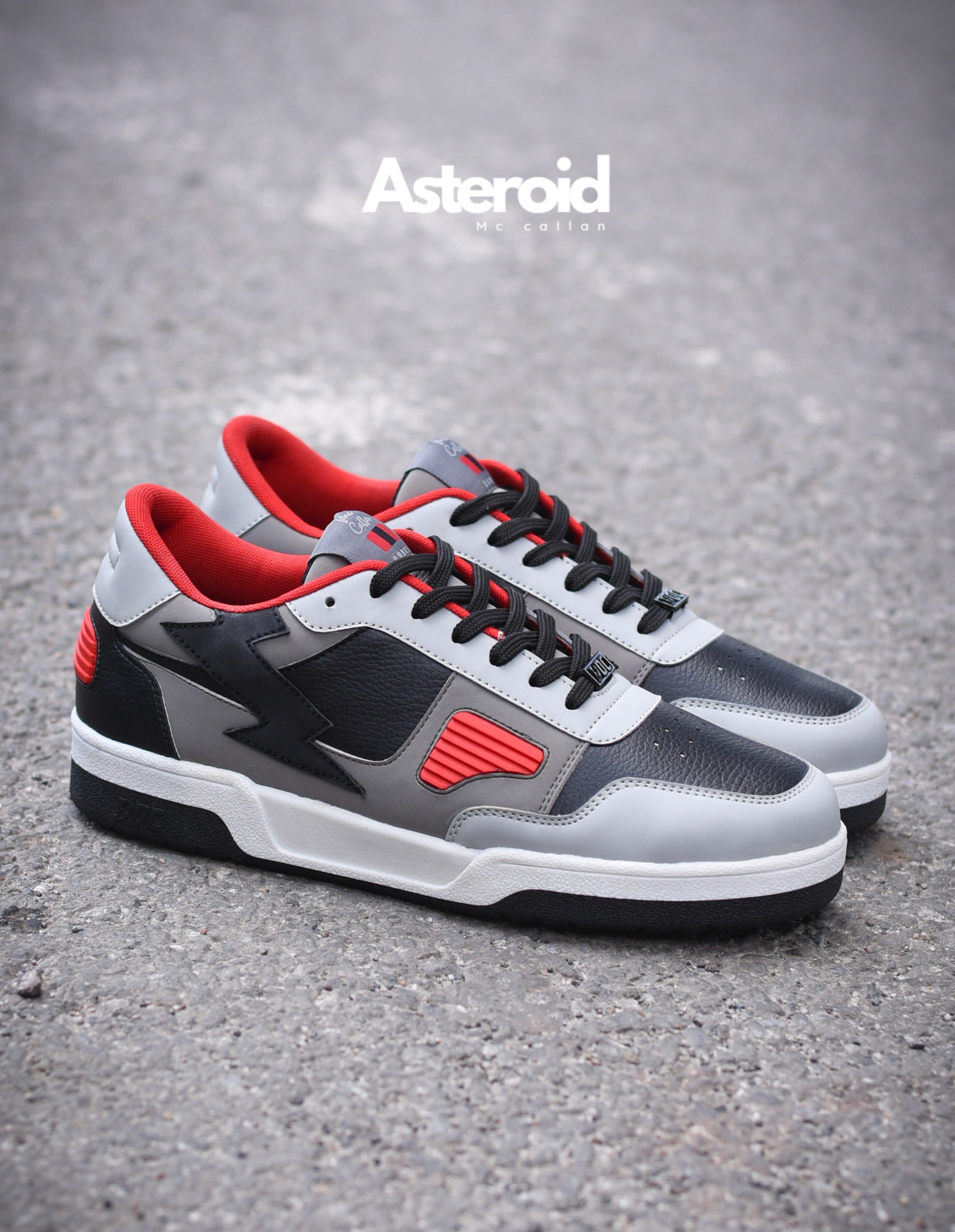 MC Callan Dunks LT / Asteroid