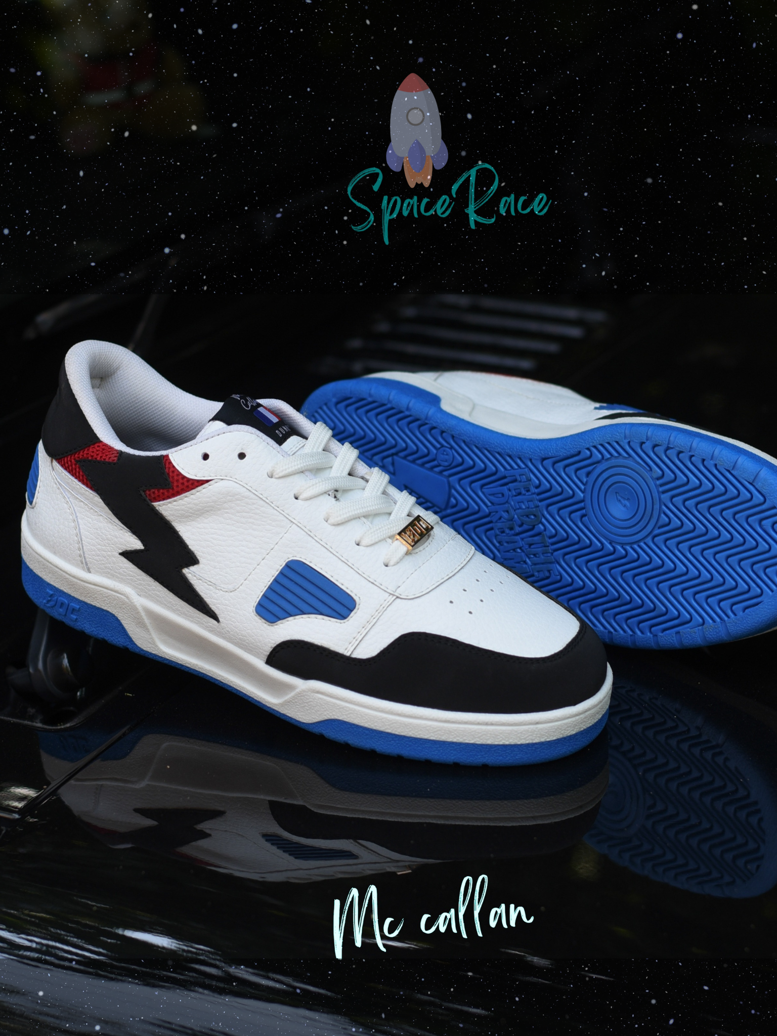 MC Callan Dunks LT / Space Race