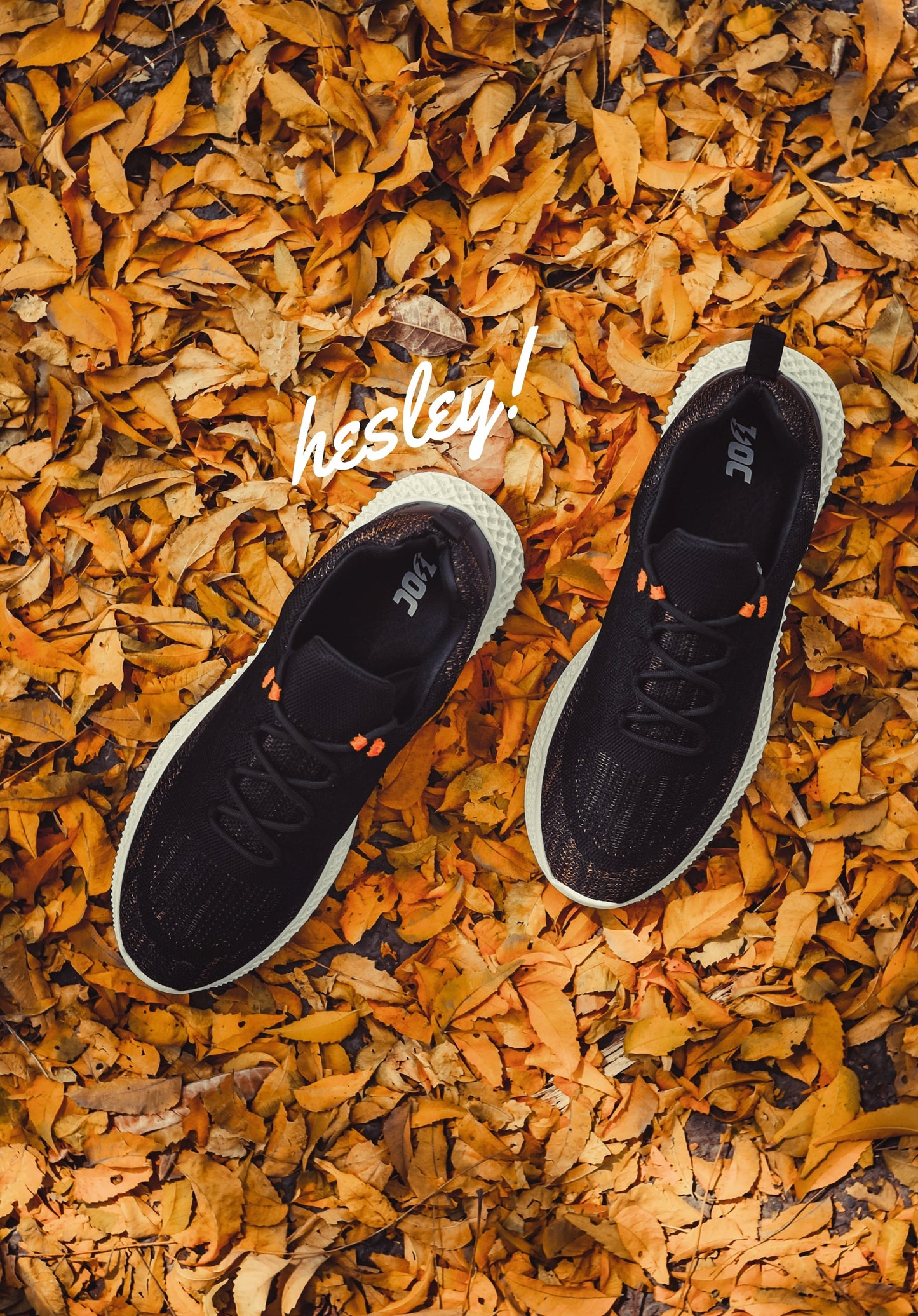 Hesley LT / Gold