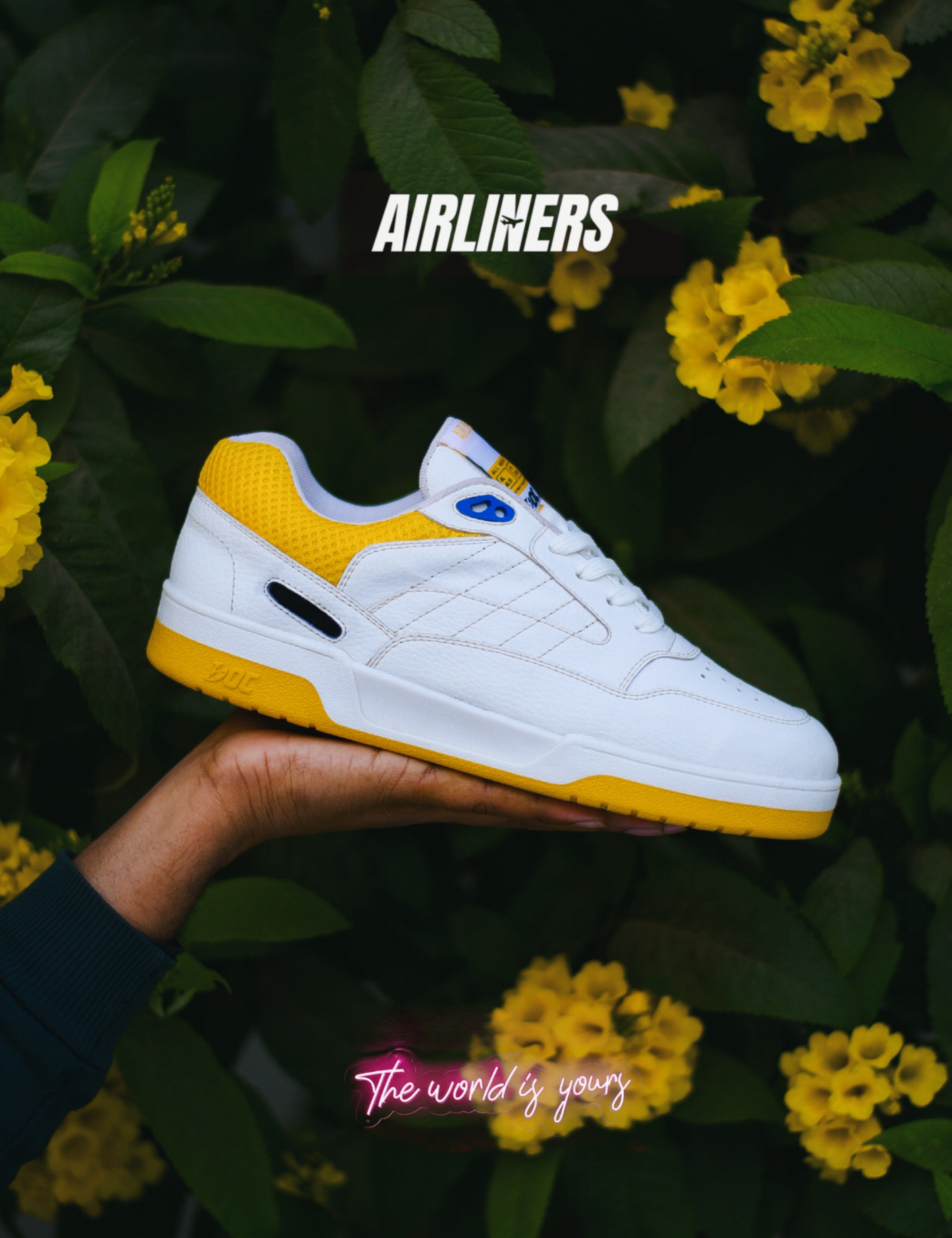 Airliners LT / OG